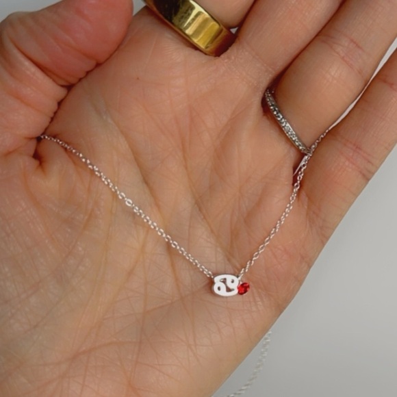 Sterling Silver Ruby Cancer Necklace - Picture 6 of 7
